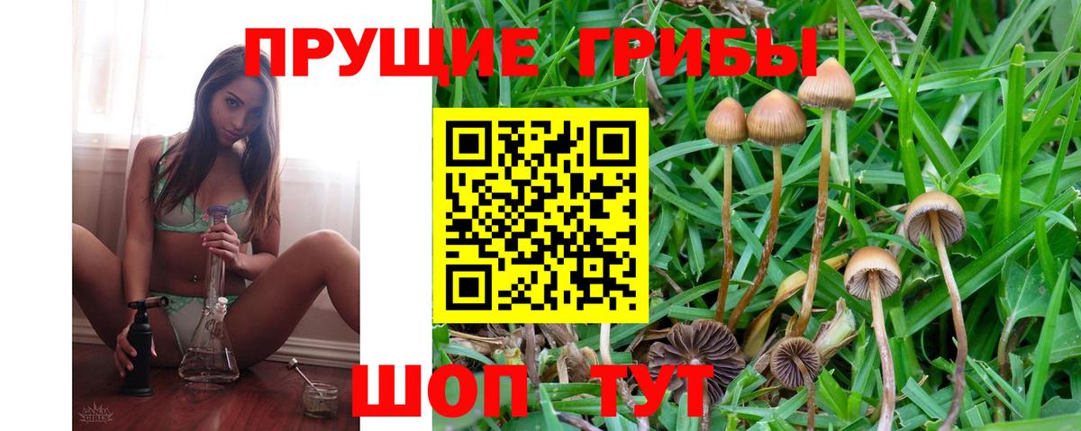 где можно купить   Вход с VPN  Егорьевск  Псилоцибиновые грибы MAGIC MUSHROOMS 